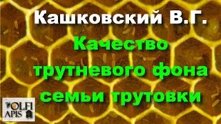 #Кашковский
