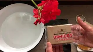 Мыло ЭФФЕКТ правда или нет? Хозяйственное мыло ЕЖК.