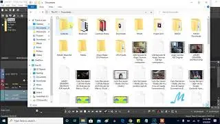 (FOR MARIO BUITRON) How To Make I Really Like You Vocoder On Sony Vegas And Audacity