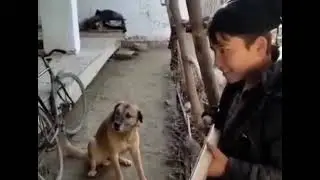 Ит хофиз.It xofiz.