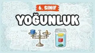 Yoğunluk | 6. Sınıf | 2026