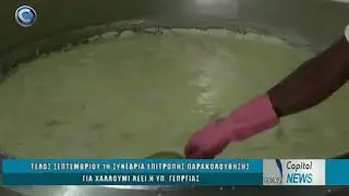 ΤΕΛΟΣ ΣΕΠΤΕΜΒΡΙΟΥ 1Η ΣΥΝΕΔΡΙΑ ΕΠΙΤΡΟΠΗΣ ΠΑΡΑΚΟΛΟΥΘΗΣΗΣ ΓΙΑ ΧΑΛΛΟΥΜΙ ΛΕΕΙ Η ΥΠ. ΓΕΩΡΓΙΑΣ