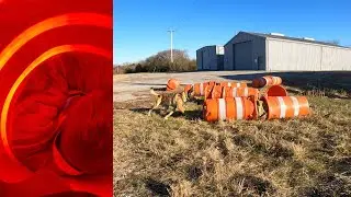 Barrel Bites