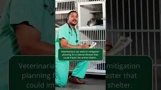 Shelter Medicine Emergency Planning | Merck Veterinary Manual