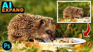 How to Expand Cropped Photo with AI Generative Expand Tool in PixLr