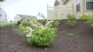 Stormwater PA: Low Impact Development