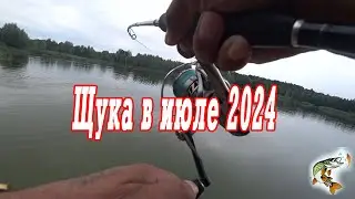 Июльская щука  Наконец-то
