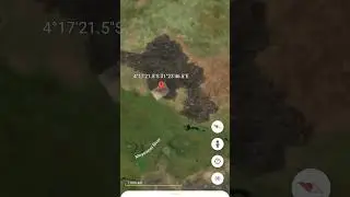 buffalo🦬 herd found on earth #shortsviral