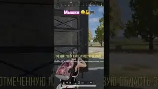 Добрый PUBG 👋🎯🎮