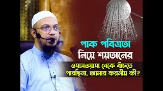পাক পবিত্রতা নিয়ে শয়তানের ওয়াসওয়াসা থেকে বাঁচতে পারছিনা, আমার করনীয় কী?
