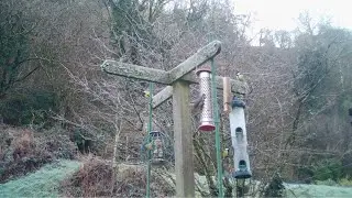 Feeding the Birds in Winter 4-day Timelapse