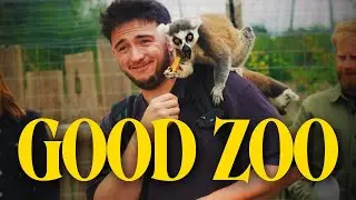 Good Zoo - Sony A7Siii