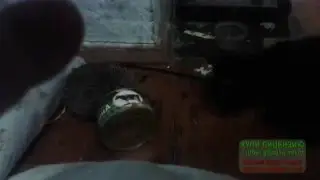 Еж забрал вискас у кота))