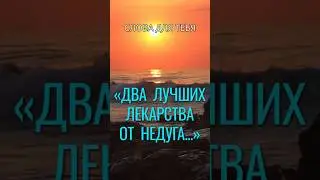 Мудрые Цитаты про Болезни и Здоровье, Которые Важно Знать! 
