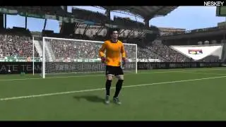 FIFA 14 | Krayz PLAYFIFA & NESKEY Compilation
