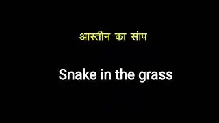 aasteen ka saamp ki angreji kya hai