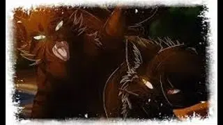 • Animator Tribute l Warriors Cats l Born For This •