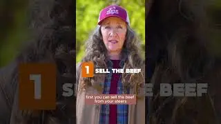 Make money with Beef Cattle.