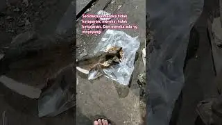 Walaupun mereka tinggal dipasar. Setidaknya mereka tidak kehujanan dan kelaparan 😃