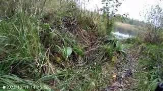 хороший налёт 11.10.2022