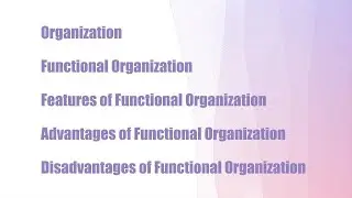 Functional Organization - Features - Advantages & Disadvantages