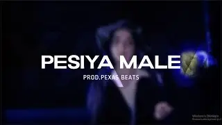 Kurdish Trap - Peşiya Male - Prod.Pexas Beats