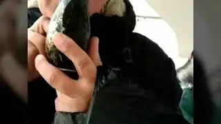 Старость нас дома не застанет,мы сегодня в Трускавце.