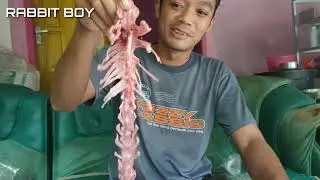 Cara Fillet Kelinci atau Memisahkan Daging dengan Tulang