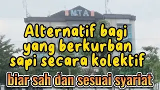 Alternatif bagi panitia kurban, yang berkurban sapi secara kolektif agar sah dan sesuai syariat