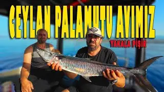 Acanthocybium solandri Hunt | An Unforgettable Fishing Adventure in Fethiye with My Friends!
