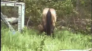 Spud Running