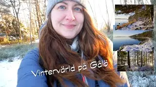 Vintervärld på Gålö