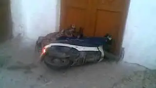 посигналил