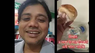 লাখ টাকার টিকেটে ৩০ টাকার খাবার 😁😁😁😁😁😁😁😁😁😁#babyfunwithtoys#waziha