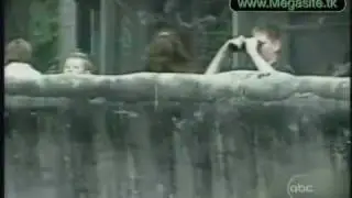 Funny Animals 2