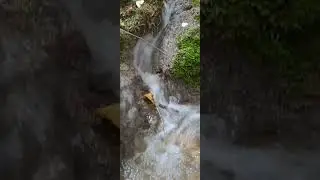 Rahatlatıcı videolar | Şelale | Akarsu | Pınar sesi | Dere sesi | Su şırıltısı | Nehir sesi Su sesi