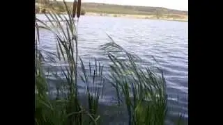 ...ГАРНОГО НАСТРОЮ...
