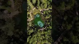 Секретное место на Алтае 💚 Или нет?