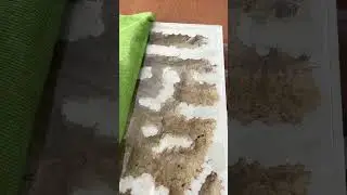 27 июля 2024 г.