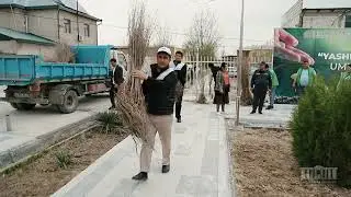 ЯШИЛ МАКОН-2024