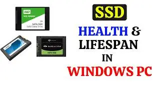 How to Check the Health and Lifespan of Your SSD on Windows 10 and 11 PC