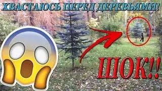 Хвастаюсь перед деревьями в 5 утра популярностью