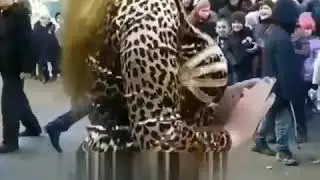 BU QANASI ZAPAL