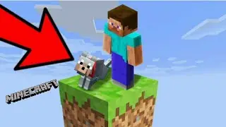 I TAME A WOLF IN MINECRAFT ONE BLOCK _ OP GAMEPLAY _