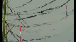 Рыбалка на поплавок.  Рыбалка в августе, клёв карася.