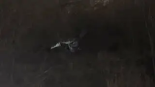 Plane crash Papillion Nebraska