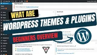 WordPress Plugins : Wordpress Themes - What are Wordpress plugin and theme.