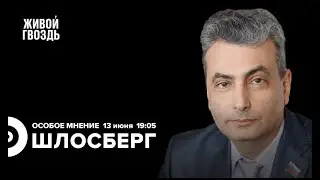 Лев Шлосберг: «Мы собираем гражданскую Россию по кусочкам» / 