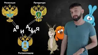 Зоопарк в авиации России