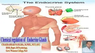 ENDOCRINE SYSTEM